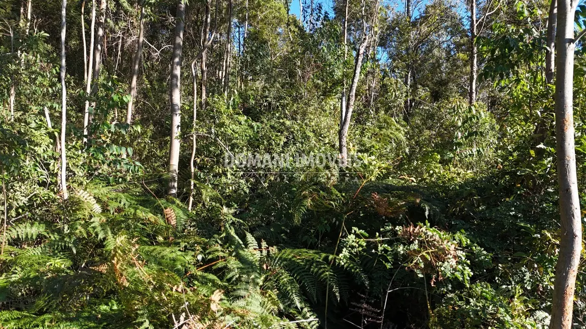 Foto 6 de Terreno / Lote à venda, 2030m2 em Campos Do Jordao - SP