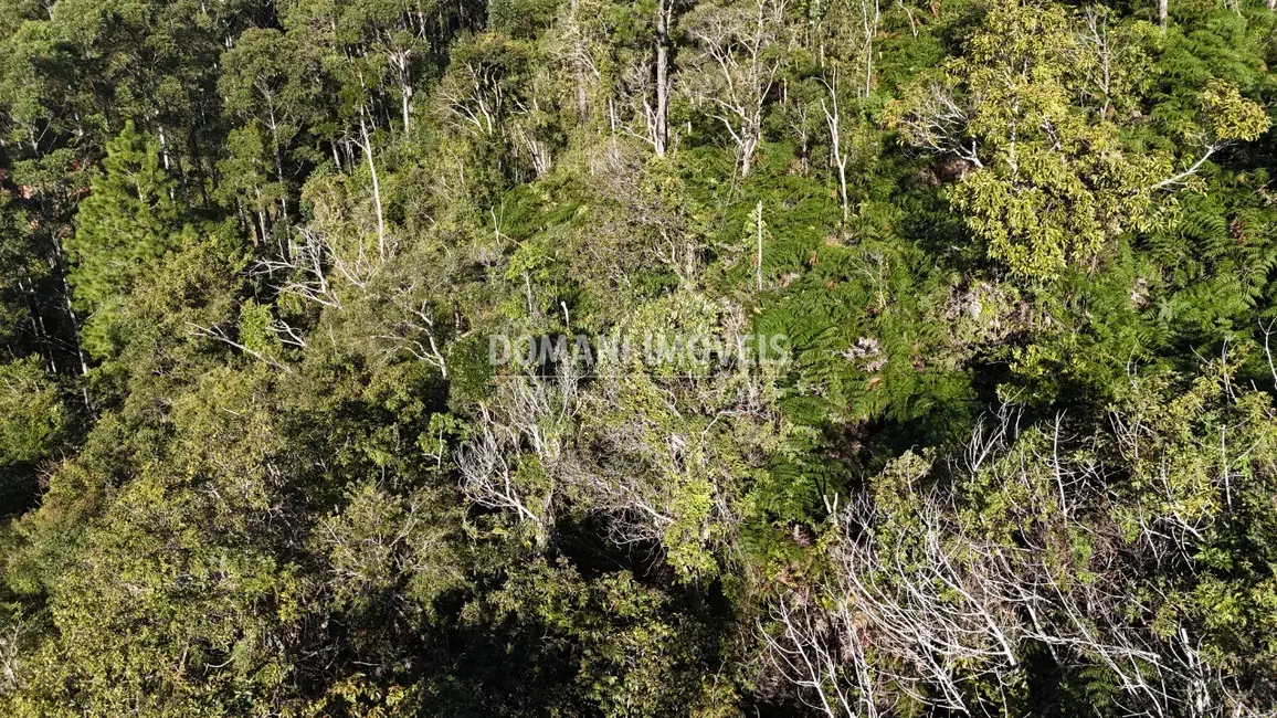 Foto 8 de Terreno / Lote à venda, 2030m2 em Campos Do Jordao - SP