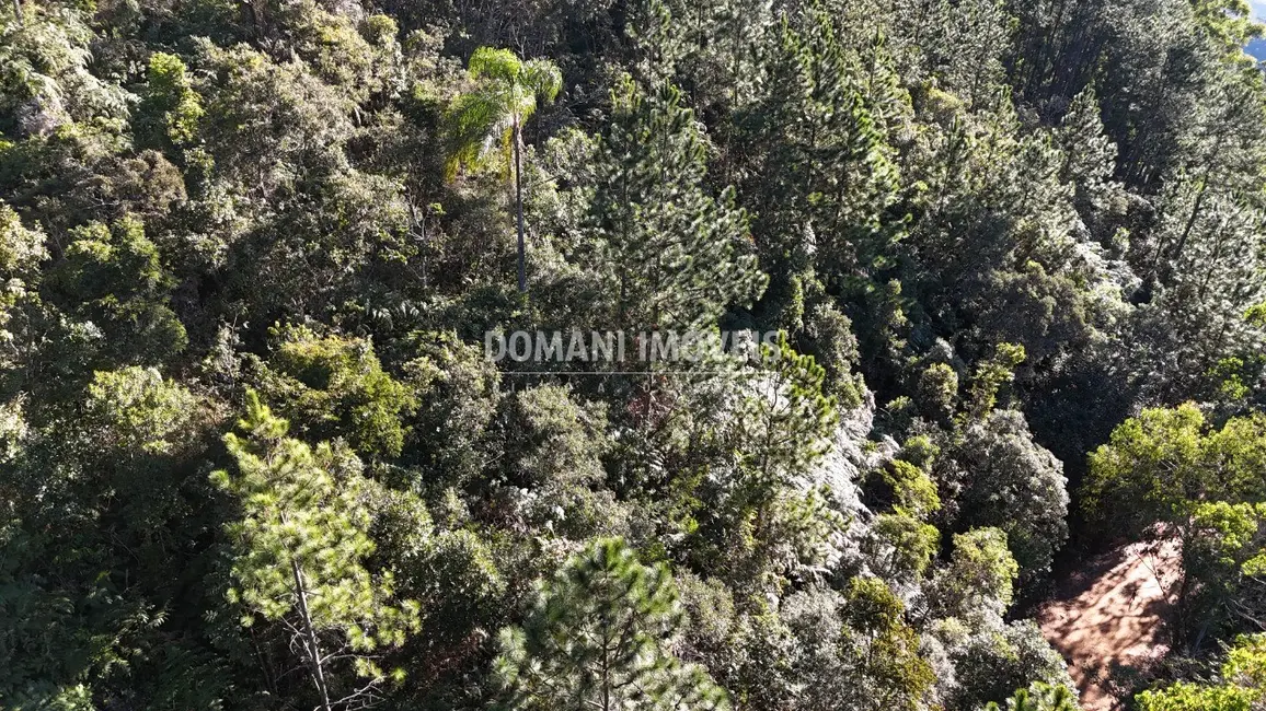 Foto 3 de Terreno / Lote à venda, 2030m2 em Campos Do Jordao - SP
