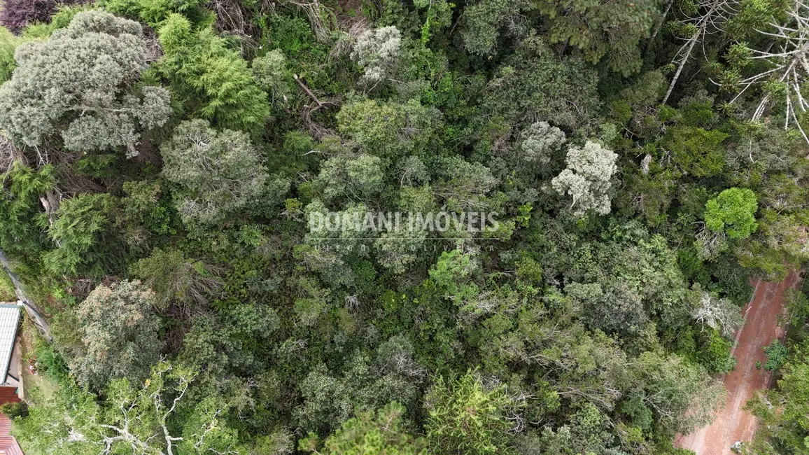 Foto 4 de Terreno / Lote à venda, 1040m2 em Campos Do Jordao - SP