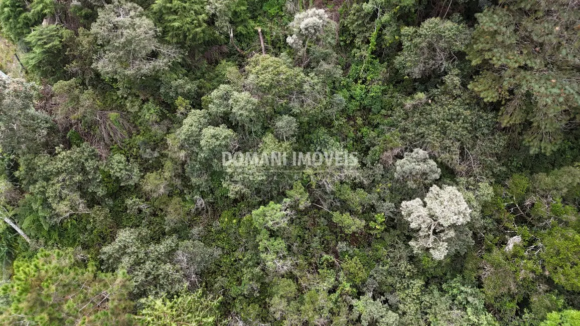 Foto 7 de Terreno / Lote à venda, 1040m2 em Campos Do Jordao - SP