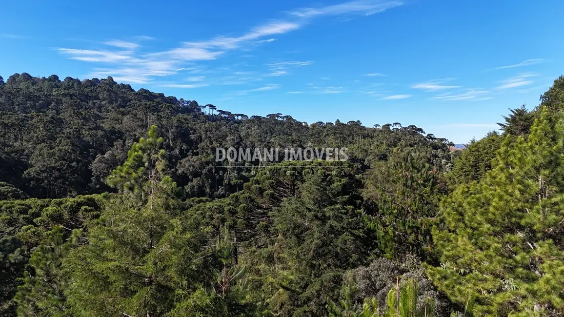 Foto 7 de Terreno / Lote à venda, 1016m2 em Campos Do Jordao - SP