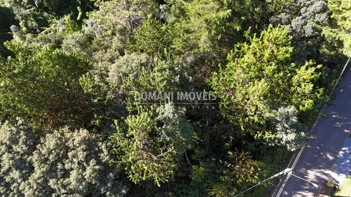 Foto 9 de Terreno / Lote à venda, 1016m2 em Campos Do Jordao - SP