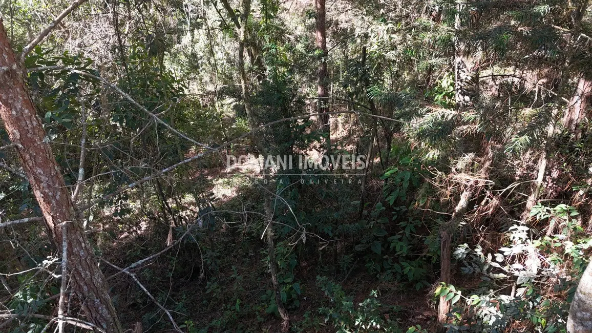 Foto 8 de Terreno / Lote à venda, 1016m2 em Campos Do Jordao - SP