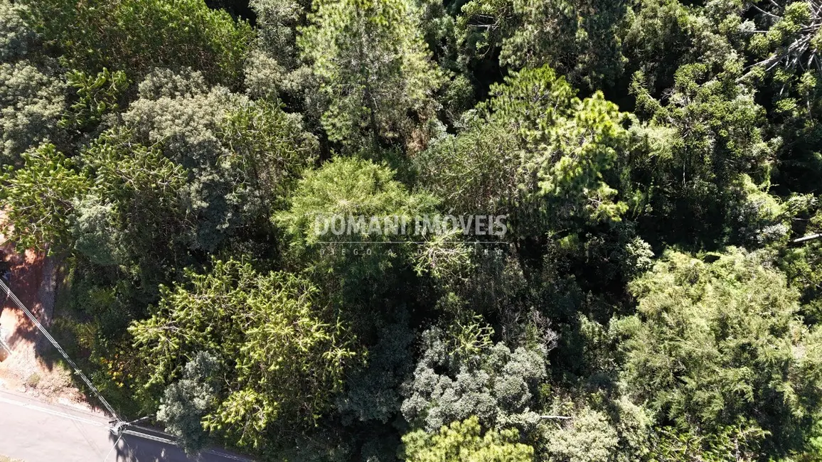 Foto 1 de Terreno / Lote à venda, 1016m2 em Campos Do Jordao - SP