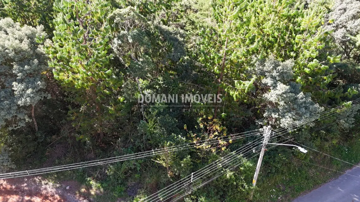 Foto 5 de Terreno / Lote à venda, 1016m2 em Campos Do Jordao - SP