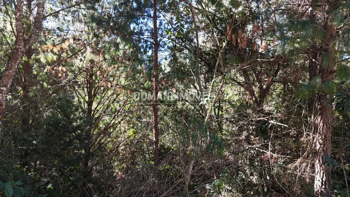 Foto 3 de Terreno / Lote à venda, 1016m2 em Campos Do Jordao - SP