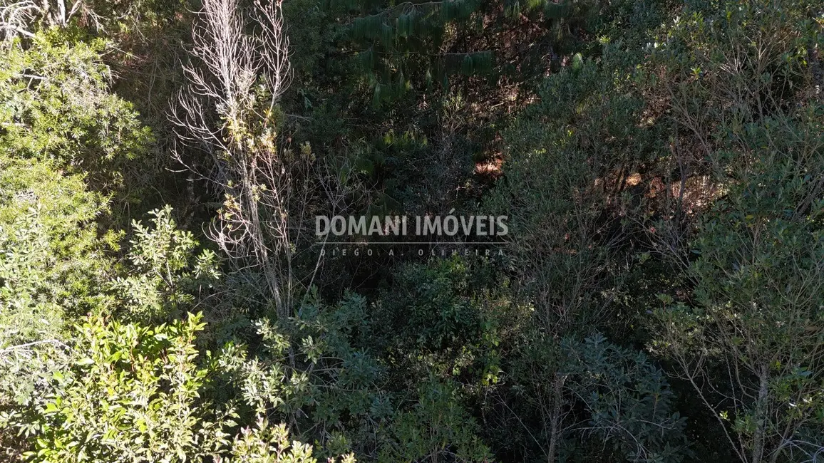 Foto 6 de Terreno / Lote à venda, 1016m2 em Campos Do Jordao - SP