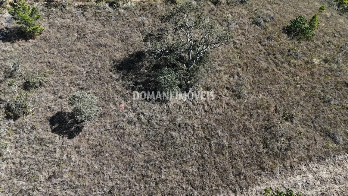 Foto 4 de Terreno / Lote à venda, 1164m2 em Campos Do Jordao - SP