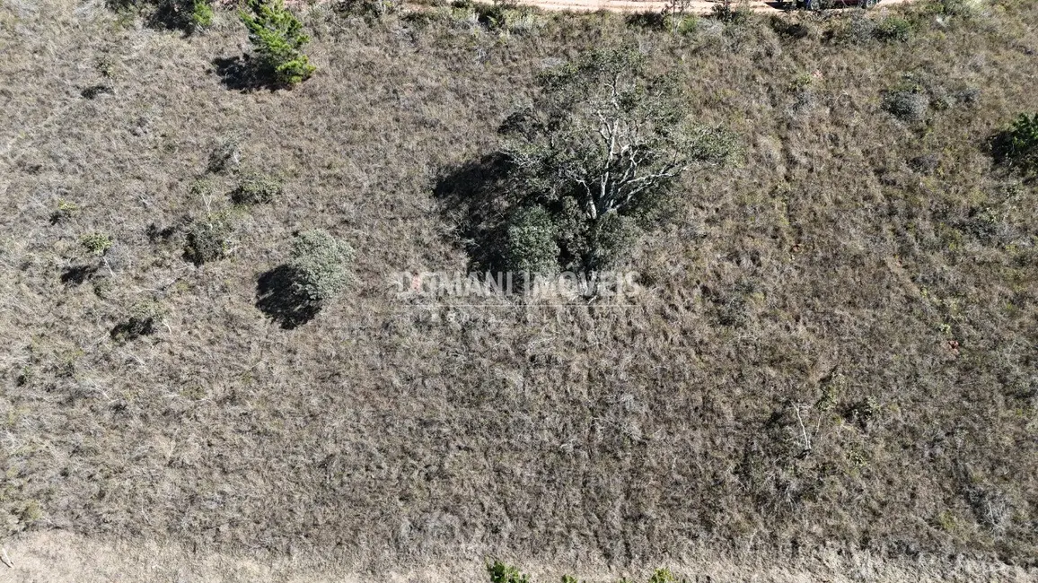 Foto 8 de Terreno / Lote à venda, 1164m2 em Campos Do Jordao - SP