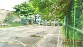Imagem 7