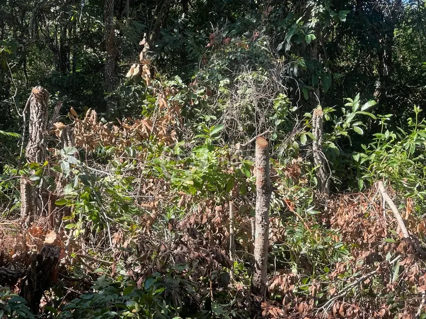 Chácara à venda, 10000m2 em Chácara dos Poderes, Campo Grande - MS - imagem 5 Foto 5 de Chácara à venda, 10000m2 em Chácara dos Poderes, Campo Grande - MS
