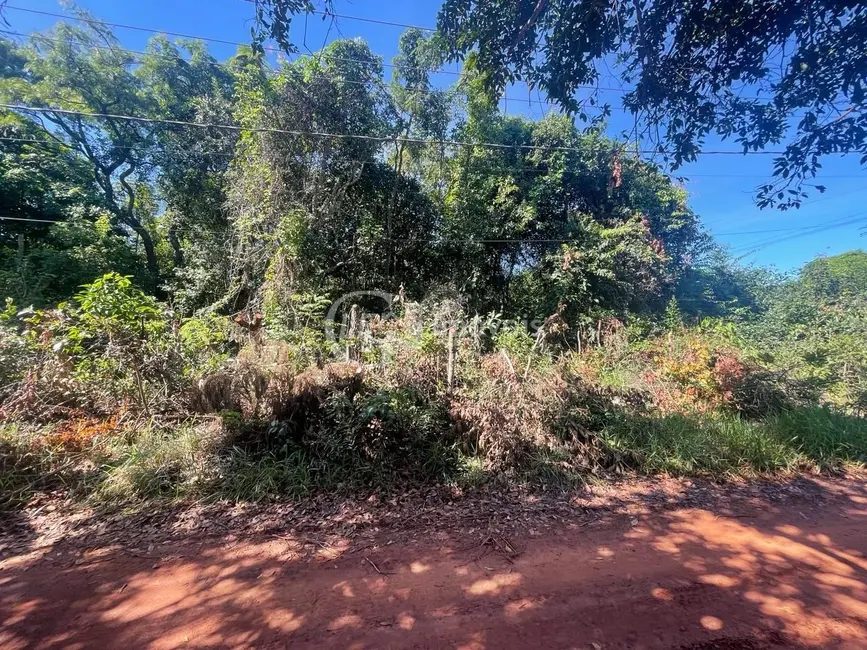 Chácara à venda, 10000m2 em Chácara dos Poderes, Campo Grande - MS - imagem 6 Foto 6 de Chácara à venda, 10000m2 em Chácara dos Poderes, Campo Grande - MS