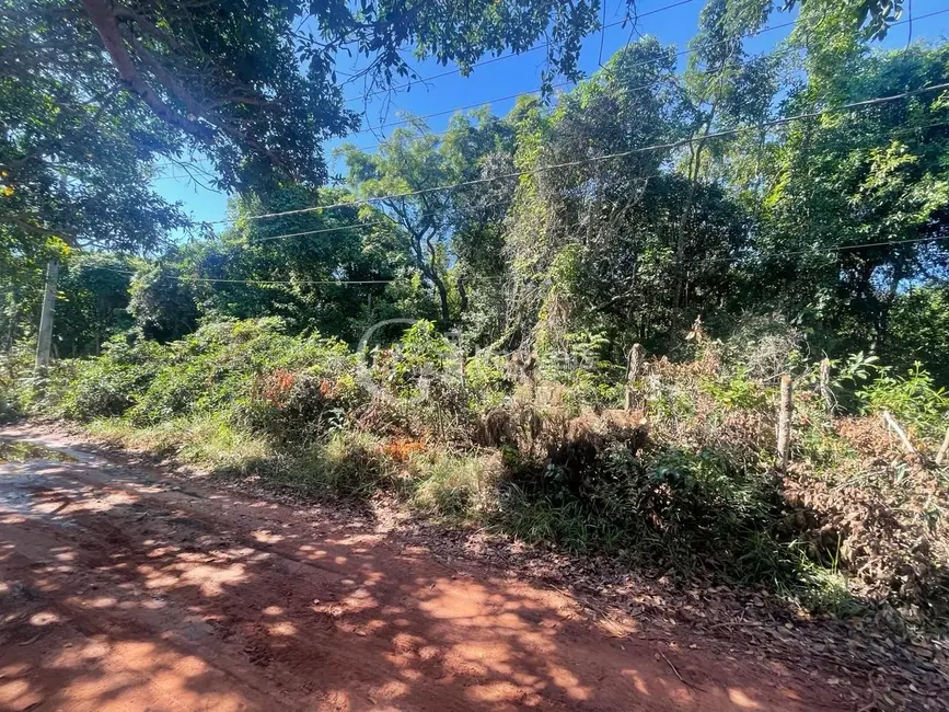 Chácara à venda, 10000m2 em Chácara dos Poderes, Campo Grande - MS - imagem 7 Foto 7 de Chácara à venda, 10000m2 em Chácara dos Poderes, Campo Grande - MS