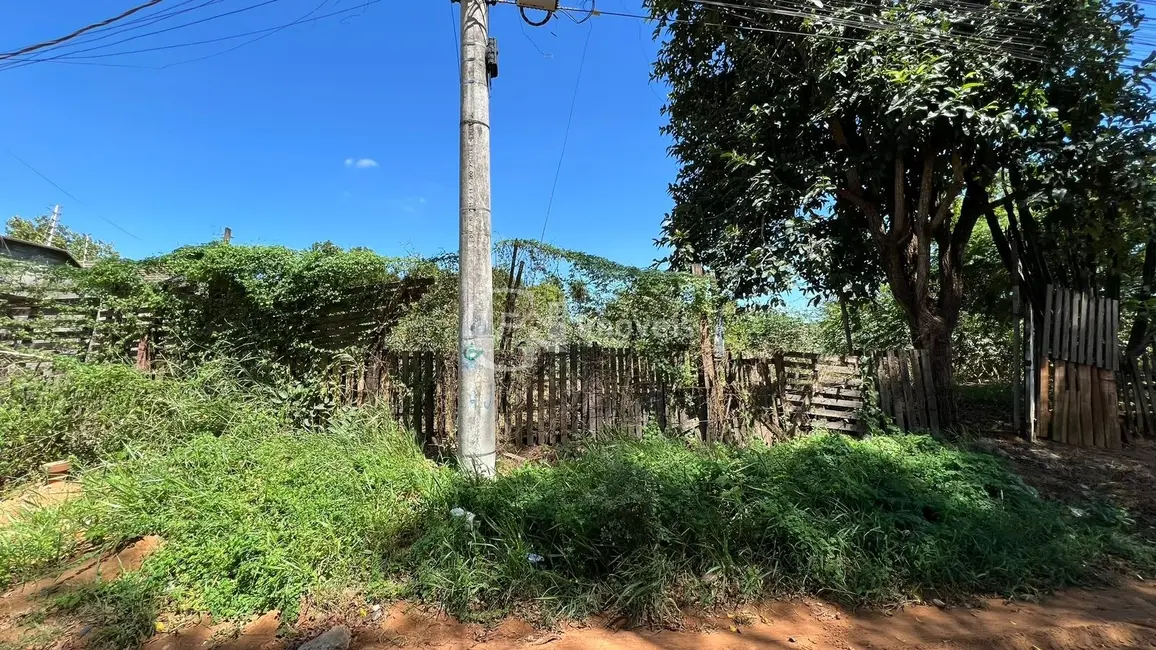 Terreno / Lote à venda, 420m2 em Jardim Sumatra, Campo Grande - MS - imagem 5 Foto 5 de Terreno / Lote à venda, 420m2 em Jardim Sumatra, Campo Grande - MS