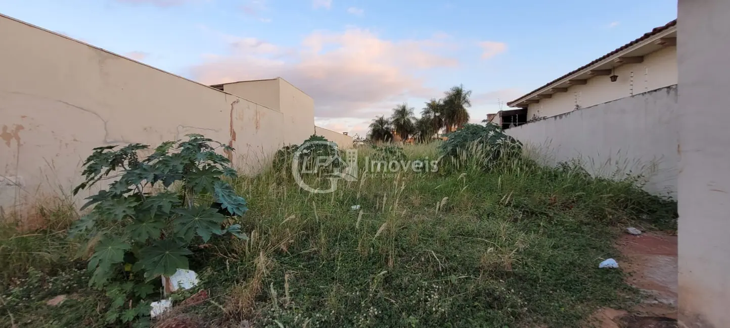 Sala Comercial para alugar, 250m2 em Amambaí, Campo Grande - MS - imagem 9 Foto 9 de Sala Comercial para alugar, 250m2 em Amambaí, Campo Grande - MS