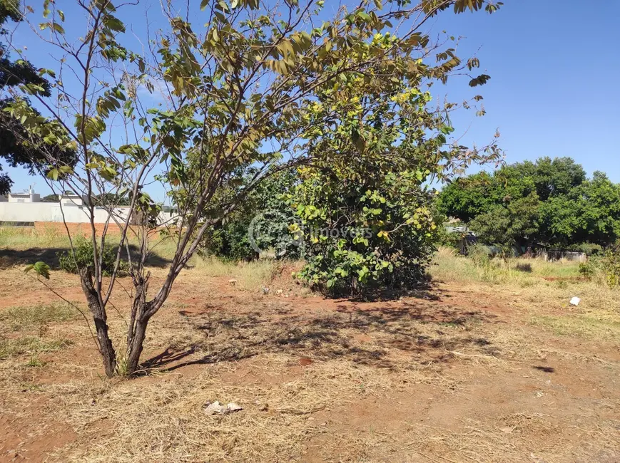 Foto 2 de Terreno / Lote à venda, 360m2 em Jardim Mansur, Campo Grande - MS