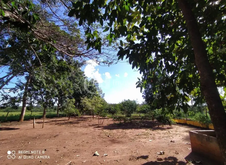Foto 5 de Chácara com 6 quartos à venda em Terenos - MS