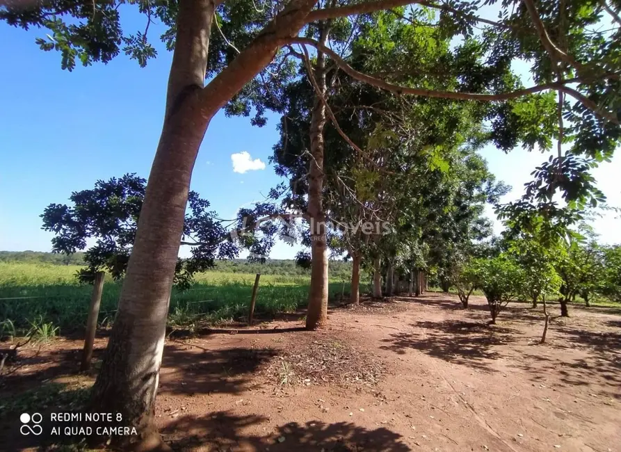 Foto 2 de Chácara com 6 quartos à venda em Terenos - MS