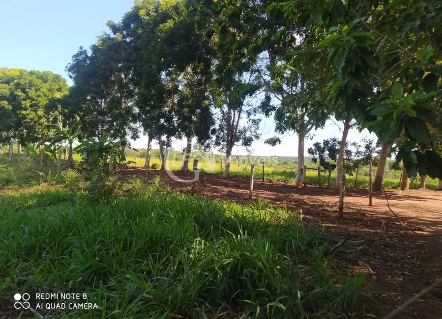Foto 4 de Chácara com 6 quartos à venda em Terenos - MS