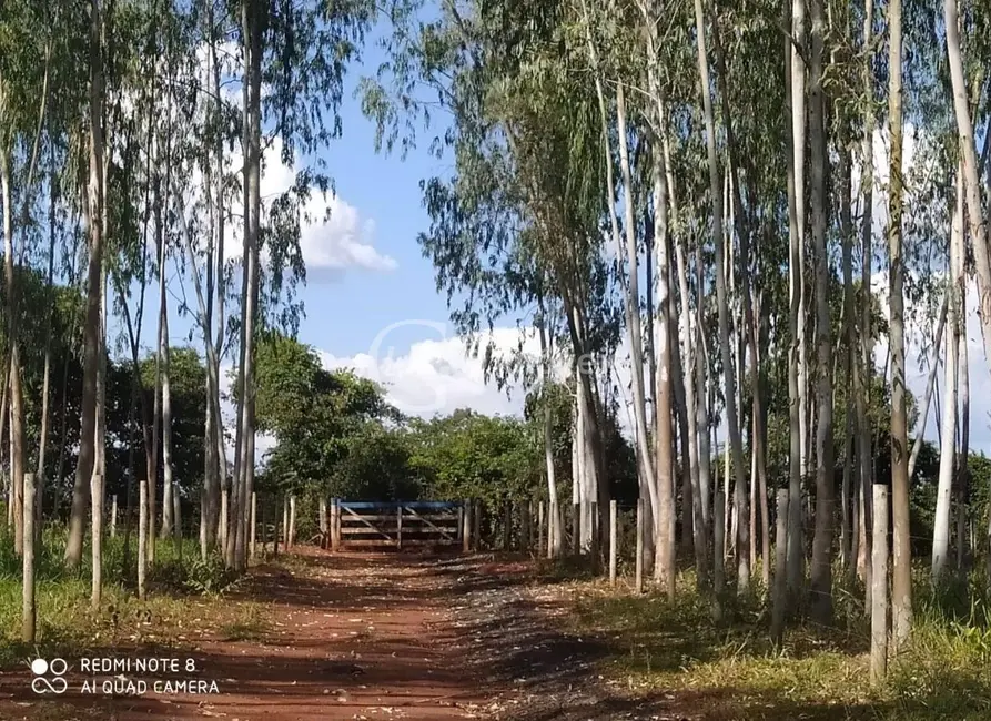 Foto 6 de Chácara com 6 quartos à venda em Terenos - MS
