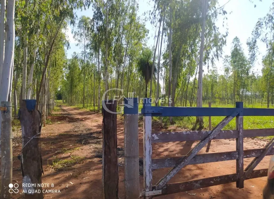 Foto 1 de Chácara com 6 quartos à venda em Terenos - MS