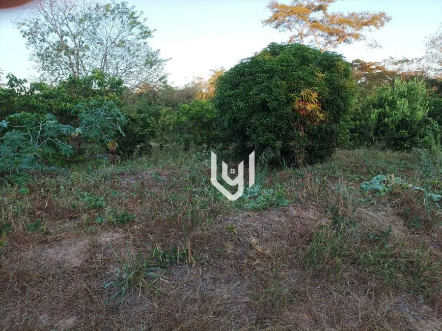 Foto 7 de Chácara à venda, 12500m2 em Sao Miguel Do Tocantins - TO