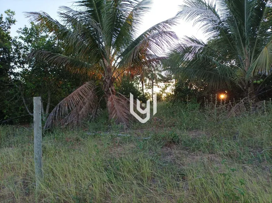 Foto 8 de Chácara à venda, 12500m2 em Sao Miguel Do Tocantins - TO