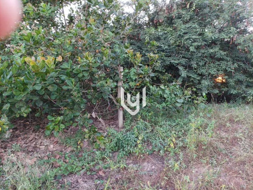 Foto 6 de Chácara à venda, 12500m2 em Sao Miguel Do Tocantins - TO