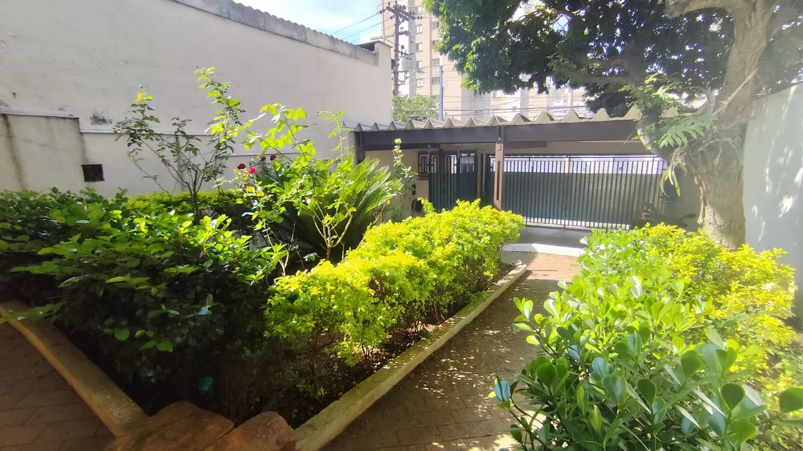 Foto 3 de Casa com 3 quartos à venda, 290m2 em Vila Gumercindo, São Paulo - SP