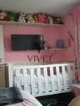 Imagem 12