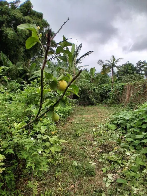Foto 8 de Terreno / Lote à venda, 2321m2 em Rio Bonito (Pirabeiraba), Joinville - SC