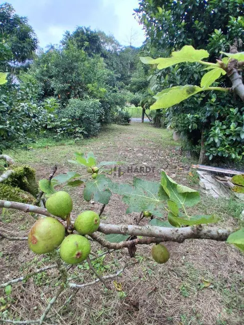 Foto 6 de Terreno / Lote à venda, 2321m2 em Rio Bonito (Pirabeiraba), Joinville - SC