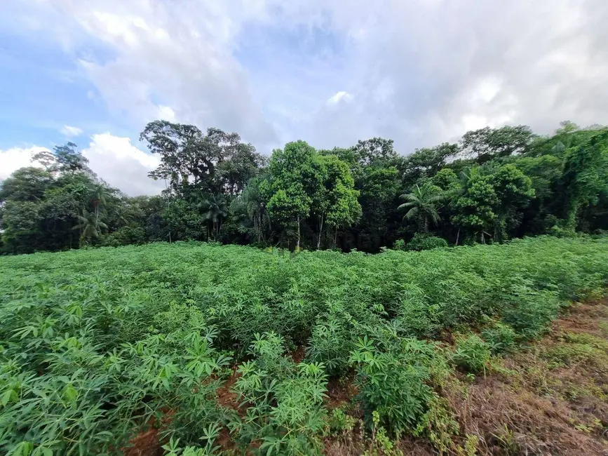 Terreno / Lote à venda, 44722m2 em Dona Francisca (Pirabeiraba), Joinville - SC - imagem 5 Foto 5 de Terreno / Lote à venda, 44722m2 em Dona Francisca (Pirabeiraba), Joinville - SC