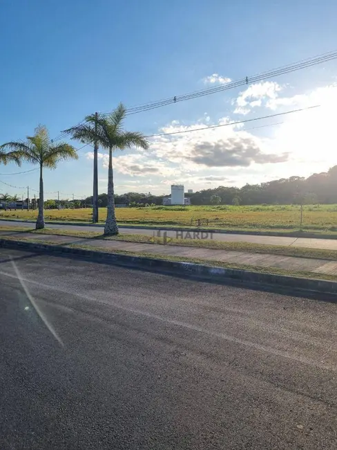 Terreno / Lote à venda, 360m2 em Araquari - SC - imagem 3 Foto 3 de Terreno / Lote à venda, 360m2 em Araquari - SC