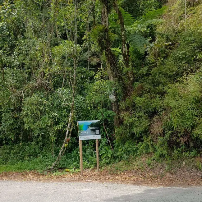 Terreno / Lote à venda, 40238m2 em Joinville - SC - imagem 7 Foto 7 de Terreno / Lote à venda, 40238m2 em Joinville - SC