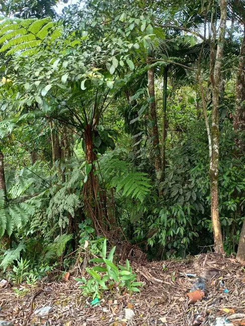 Foto 8 de Terreno / Lote à venda, 15566m2 em Rio Bonito (Pirabeiraba), Joinville - SC