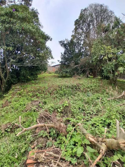 Terreno / Lote à venda, 1358m2 em Saguaçu, Joinville - SC - imagem 9 Foto 9 de Terreno / Lote à venda, 1358m2 em Saguaçu, Joinville - SC