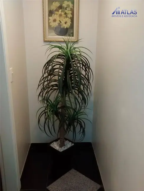 Foto 7 de Apartamento com 3 quartos à venda, 148m2 em Vila Maria Alta, São Paulo - SP