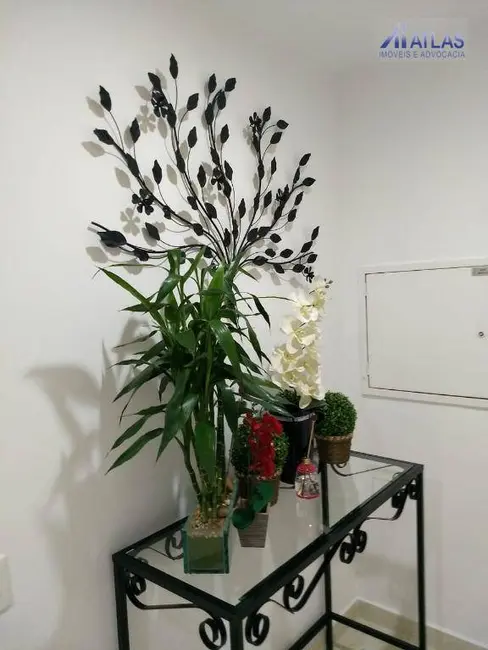 Foto 7 de Apartamento com 3 quartos à venda, 67m2 em Vila São João, Guarulhos - SP