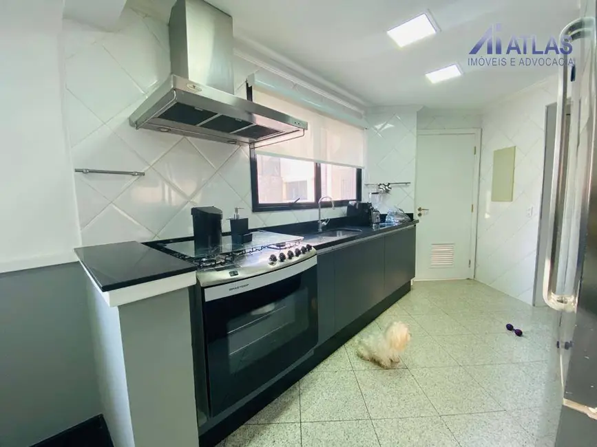 Foto 8 de Apartamento com 5 quartos à venda, 556m2 em Jardim Vila Mariana, São Paulo - SP