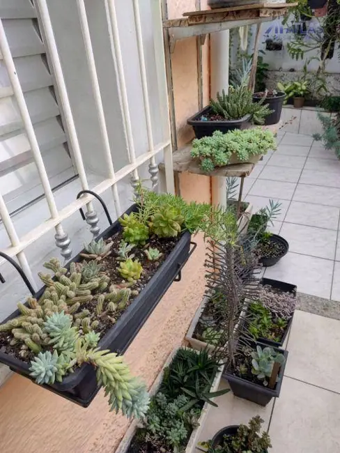 Foto 6 de Casa com 4 quartos à venda, 243m2 em São Paulo - SP