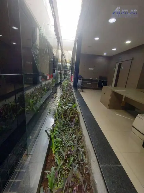 Foto 2 de Sala Comercial para alugar, 250m2 em Jardim Avelino, São Paulo - SP