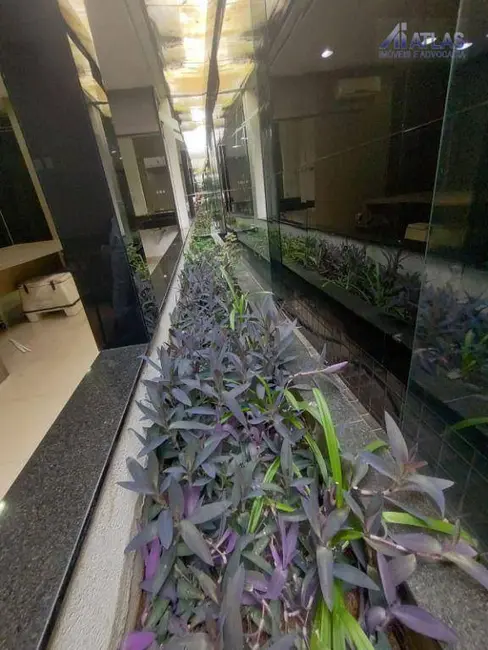 Foto 3 de Sala Comercial para alugar, 250m2 em Jardim Avelino, São Paulo - SP