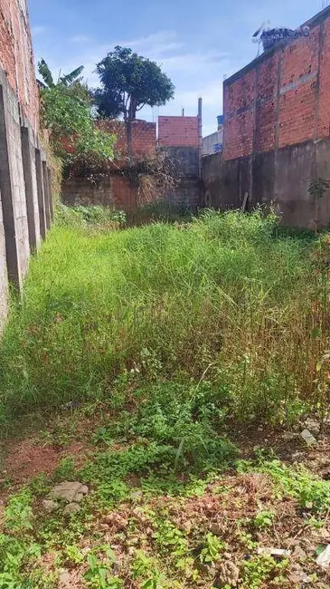 Foto 4 de Terreno / Lote à venda, 252m2 em Perobal, Aruja - SP