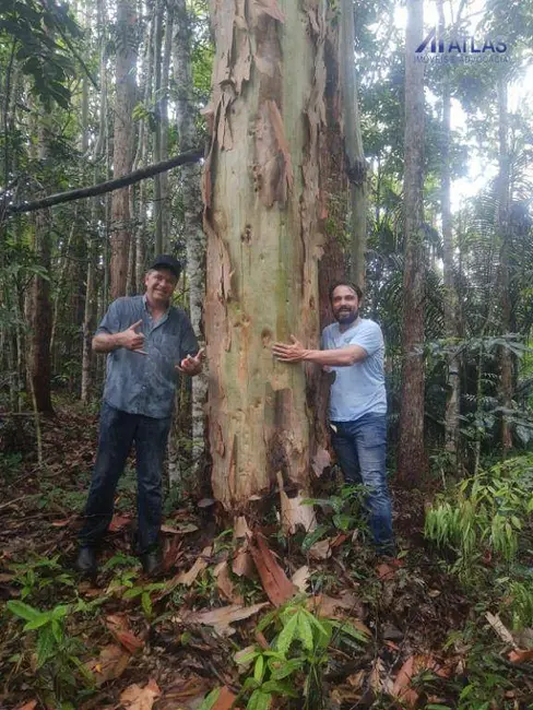 Foto 1 de Chácara com 16 quartos à venda, 16777215m2 em Cananeia - SP