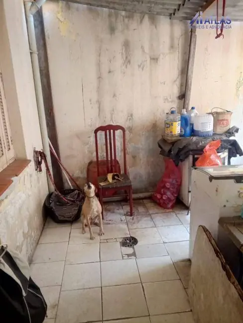 Foto 7 de Terreno / Lote à venda, 272m2 em Vila Maria Alta, São Paulo - SP