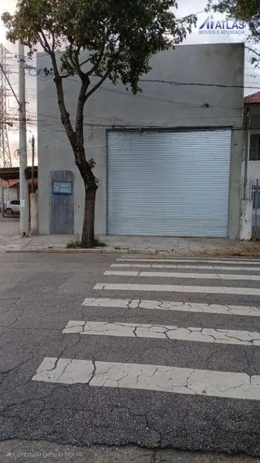 Foto 2 de Armazém / Galpão para alugar, 341m2 em Carandiru, São Paulo - SP