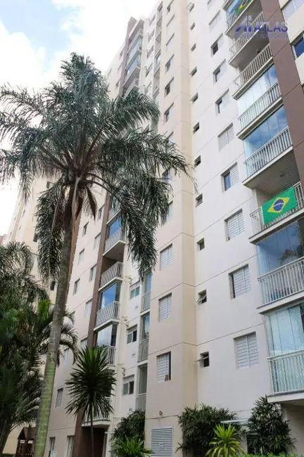 Apartamento com 3 quartos para alugar, 61m2 em Vila Guilherme, São Paulo - SP - imagem 1 Foto 1 de Apartamento com 3 quartos para alugar, 61m2 em Vila Guilherme, São Paulo - SP