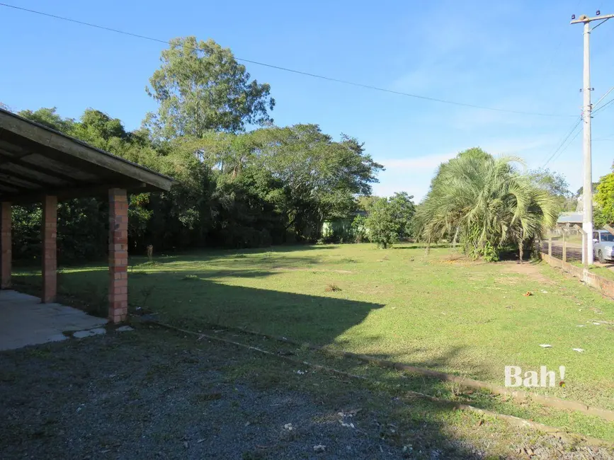 Chácara com 3 quartos à venda, 5000m2 em Cadiz, Gravatai - RS - imagem 6 Foto 6 de Chácara com 3 quartos à venda, 5000m2 em Cadiz, Gravatai - RS